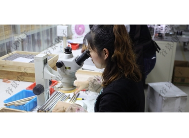 貼片共模電感方向如何區(qū)分你知道嗎？